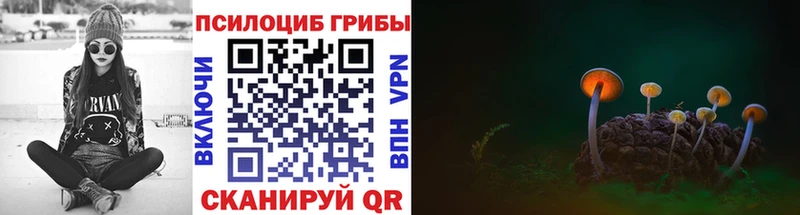 mega ТОР  Мурино  Псилоцибиновые грибы Cubensis 